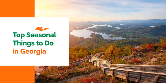 Top Seasonal Things to Do in Georgia