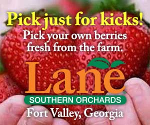 Strawberry Season is Coming Soon!